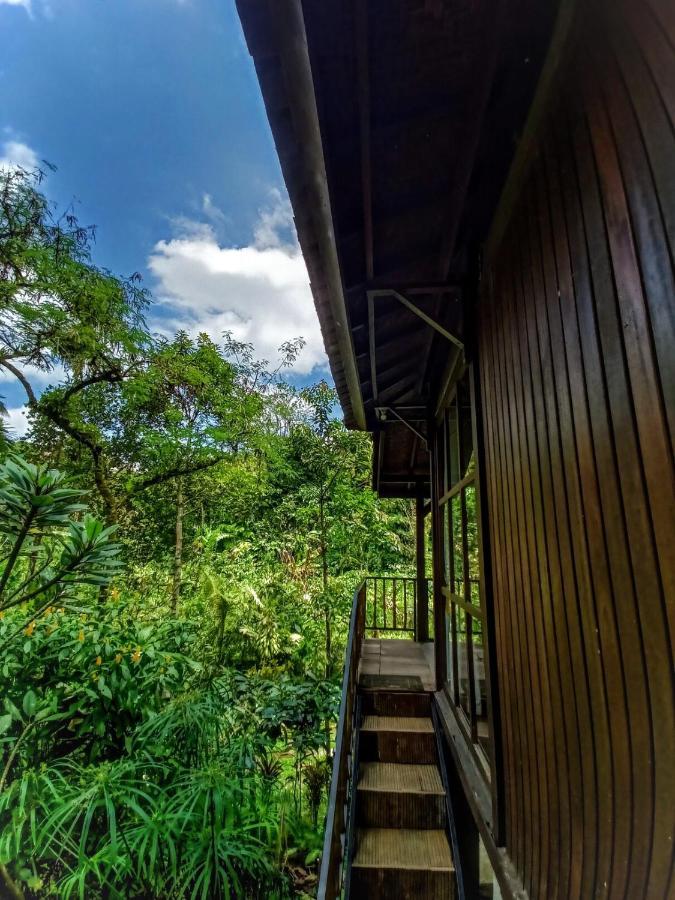 Kebun Kita Eco Lodge Padangan  外观 照片