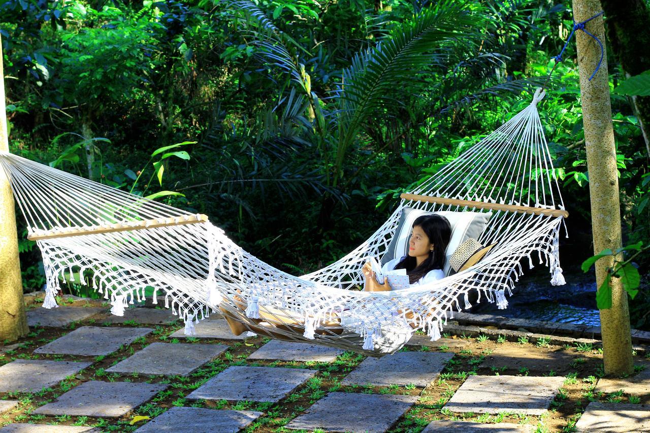 Kebun Kita Eco Lodge Padangan  外观 照片